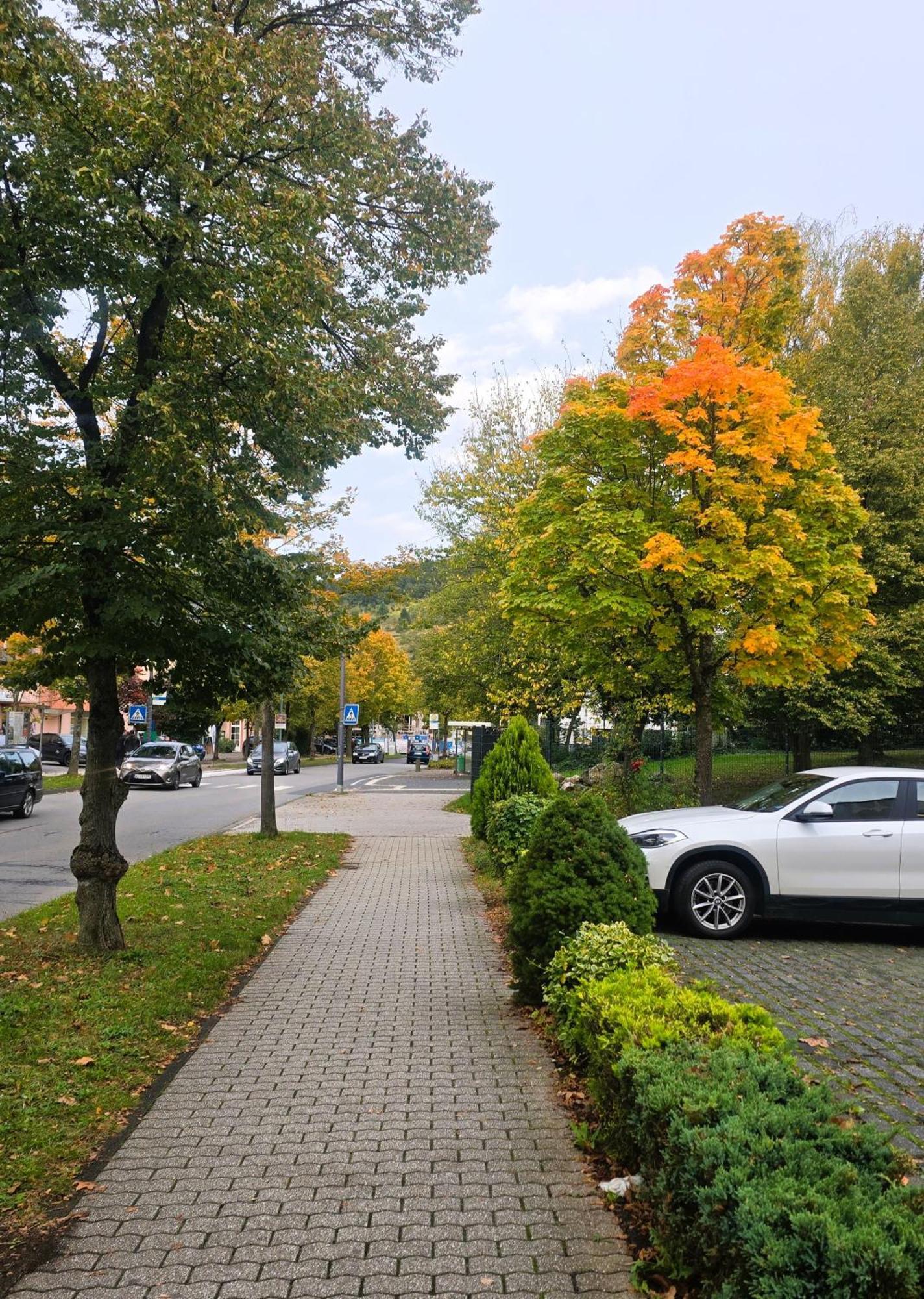 Hotel Zur Moselbruecke Schweich Buitenkant foto